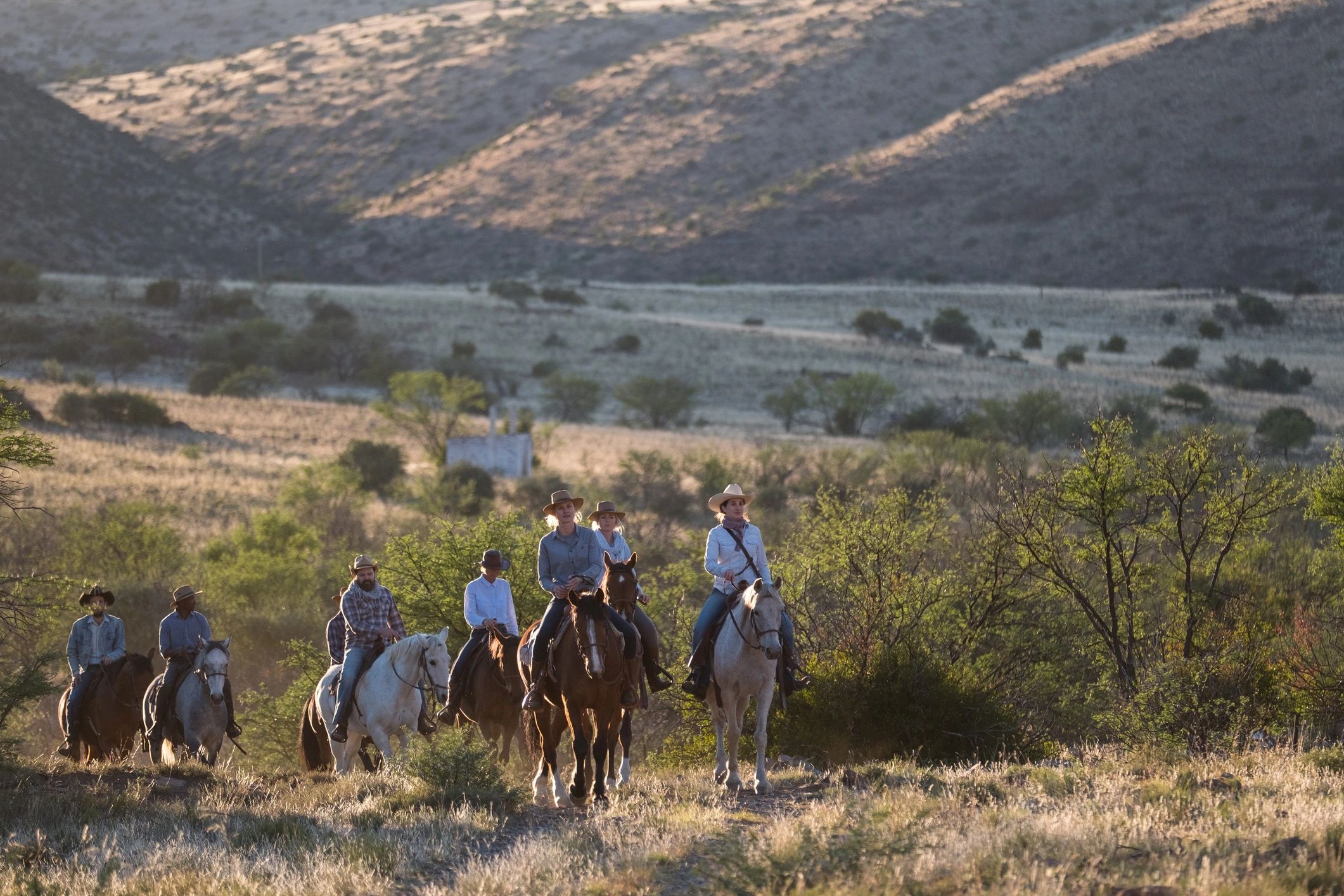 Ranch staff tending horses